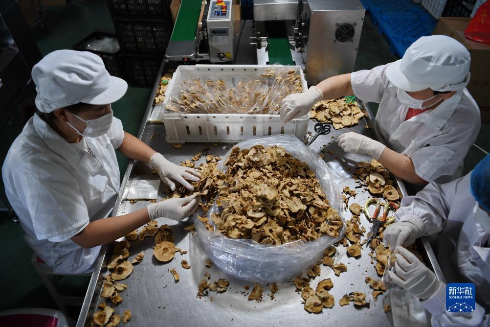 网上打摆脱网站